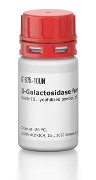 &#946;-Galactosidase from bovine liver Grade III, lyophilized powder, &#8805;0.15&#160;units/mg protein