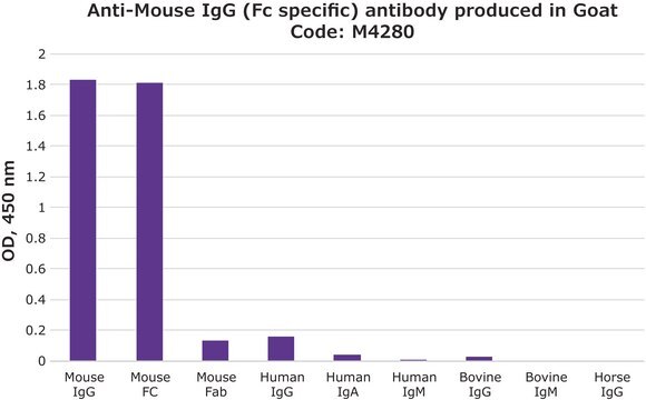 Anti-Mouse IgG (Fc specific) antibody produced in goat 2.0&#160;mg/mL, affinity isolated antibody