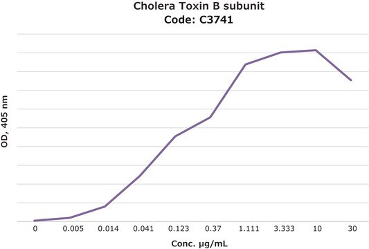 Cholera Toxin B subunit peroxidase conjugate (Contains ~ 2 moles HRP/mole of CTB. ~100 &#956;g HRP conjugated to ~45 &#956;g CTB), lyophilized powder