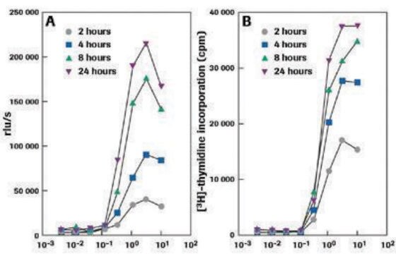 Cell Proliferation ELISA, BrdU (chemiluminescent)