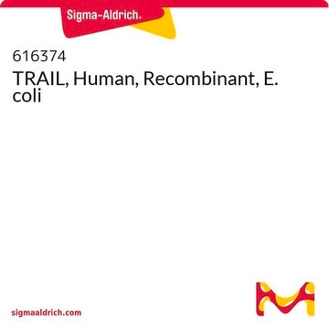 TRAIL, Human, Recombinant, E. coli