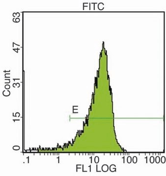 Anti-CD34 Class III Antibody, clone 581 clone 581, Chemicon&#174;, from mouse