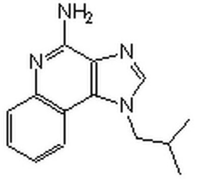 Imiquimod An imidazoquinoline compound that acts as a potent immunomodulator and displays anti-angiogenic, anti-viral and anti-inflammatory properties.