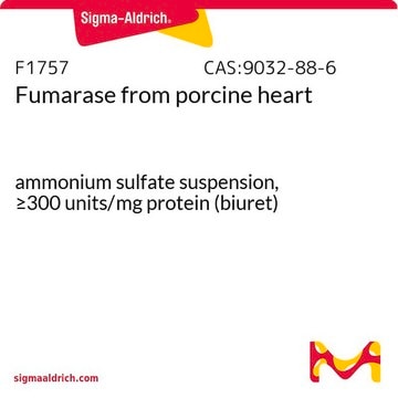 Fumarase from porcine heart ammonium sulfate suspension, &#8805;300&#160;units/mg protein (biuret)