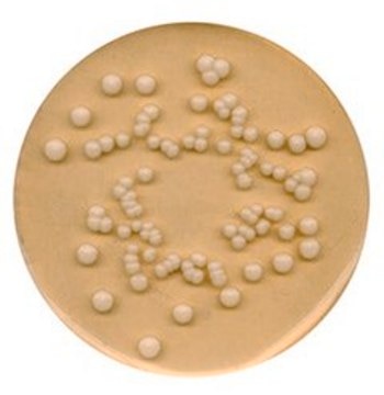 Potato Dextrose Agar Recommended for the isolation of yeasts and molds, NutriSelect&#174; Basic