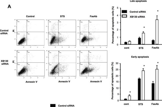 Anti-Fas Antibody (human, activating), clone CH11 clone CH11, Upstate&#174;, from mouse