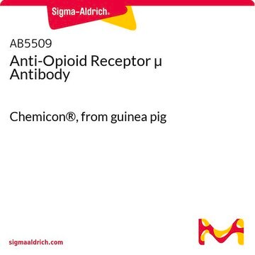 Anti-Opioid Receptor &#181; Antibody Chemicon&#174;, from guinea pig