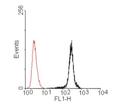 Anti-BMP4 Antibody, clone PA354-16.1.1 clone PA354-16.1.1, from mouse