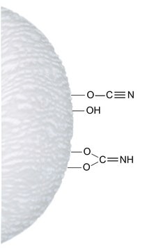 Cyanogen bromide-activated Agarose lyophilized powder