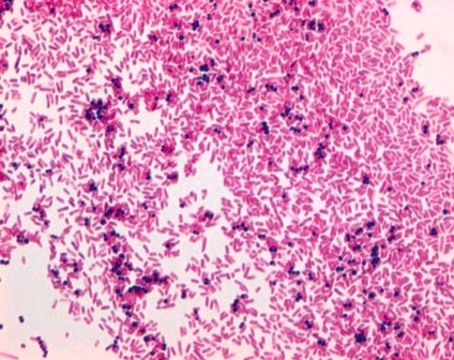 Gram&#8242;s safranine solution for the Gram staining method