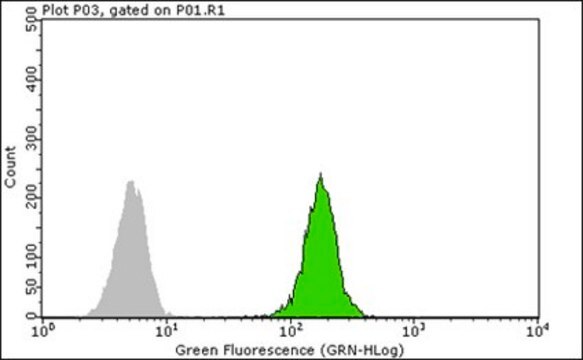 Anti-Y14 Antibody, clone 4C4 clone 4C4, from mouse