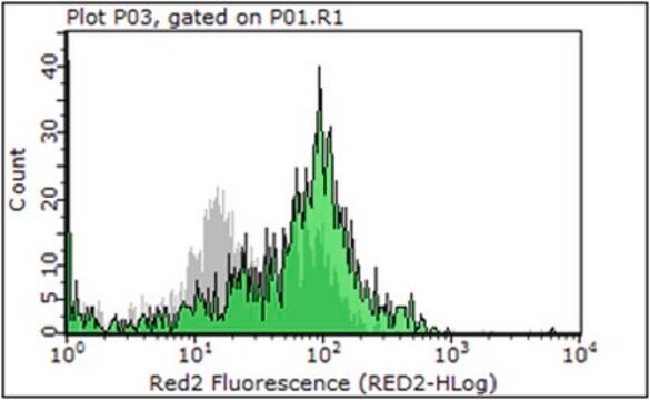 Anti-Ly6C Antibody, clone 6C3 clone 6C3, from rat