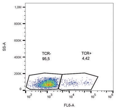 Monoclonal Anti-TCR gamma/delta antibody produced in mouse clone B1