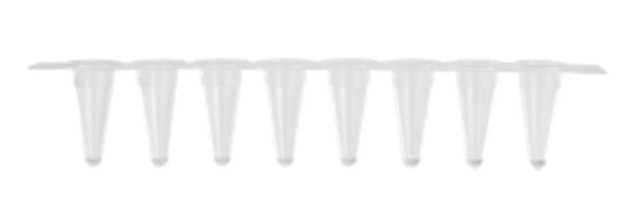 Axygen low profile 0.1 mL thin wall PCR strip tubes clear