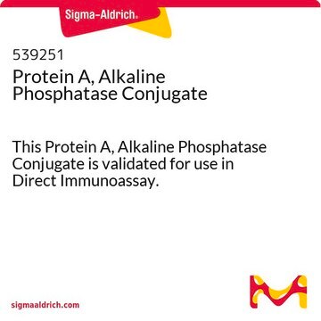 Protein A, Alkaline Phosphatase Conjugate This Protein A, Alkaline Phosphatase Conjugate is validated for use in Direct Immunoassay.