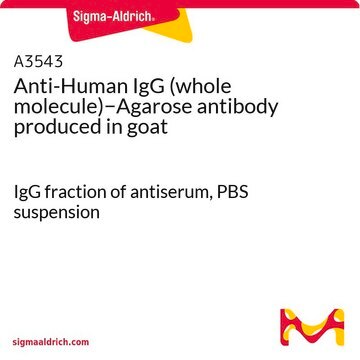 Anti-Human IgG (whole molecule)&#8722;Agarose antibody produced in goat IgG fraction of antiserum, PBS suspension