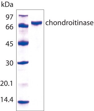 Chondroitinase&#160;AC from Flavobacterium heparinum recombinant, expressed in E. coli, &#8805;200&#160;units/mg protein, For Chondroitin Sulfate Analysis