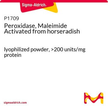 Peroxidase, Maleimide Activated from horseradish lyophilized powder, &gt;200&#160;units/mg protein