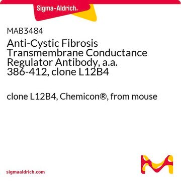 Anti-Cystic Fibrosis Transmembrane Conductance Regulator Antibody, a.a. 386-412, clone L12B4 clone L12B4, Chemicon&#174;, from mouse