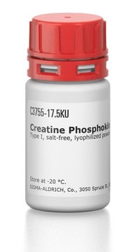 Creatine Phosphokinase from rabbit muscle Type I, salt-free, lyophilized powder, &#8805;150&#160;units/mg protein