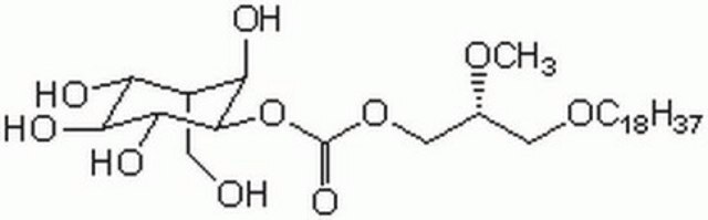 Akt Inhibitor The Akt Inhibitor controls the biological activity of Akt. This small molecule/inhibitor is primarily used for Phosphorylation &amp; Dephosphorylation applications.