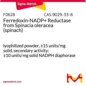 Ferredoxin-NADP+ Reductase from Spinacia oleracea (spinach) lyophilized powder, &#8805;15&#160;units/mg solid, secondary activity: &#8805;10&#160;units/mg solid NADPH diaphorase