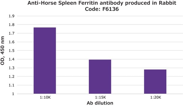 Anti-Horse Spleen Ferritin antibody produced in rabbit affinity isolated antibody, lyophilized powder