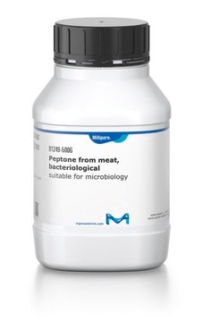 Peptone from meat, bacteriological suitable for microbiology