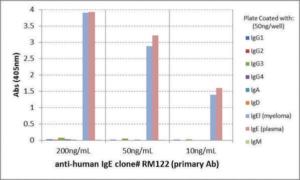 Anti-Human IgE-Biotin antibody, Rabbit monoclonal recombinant, expressed in HEK 293 cells, clone RM122, purified immunoglobulin