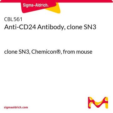 Anti-CD24 Antibody, clone SN3 clone SN3, Chemicon&#174;, from mouse