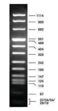 DNA Molecular Weight Marker VIII pkg of 50&#160;&#956;g (in 200 &#956;l), solution