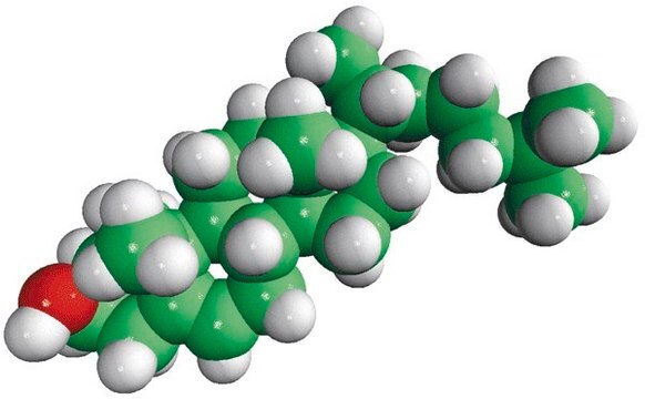 Cholesterol (ovine) Avanti Polar Lipids