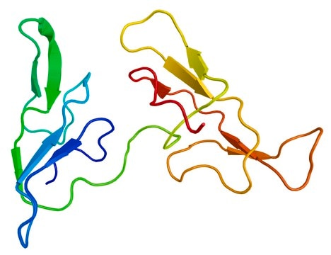 Protease and Phosphatase Inhibitor Cocktail