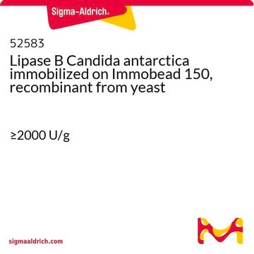 Lipase B Candida antarctica immobilized on Immobead 150, recombinant from yeast &#8805;2000&#160;U/g