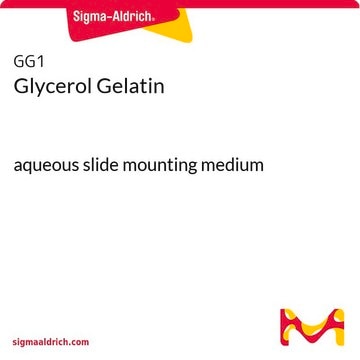 Glycerol Gelatin aqueous slide mounting medium