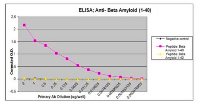 Anti-Amyloid, &#946; 1-40, a&#946; Antibody from rabbit, purified by affinity chromatography