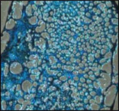 ChondroMAX Differentiation Medium