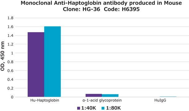 Monoclonal Anti-Haptoglobin antibody produced in mouse clone HG-36, ascites fluid