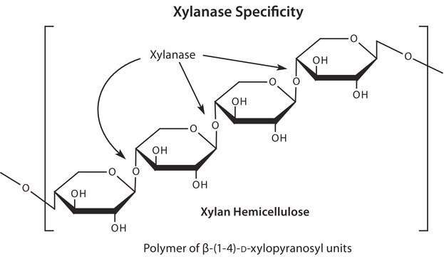 Hemicellulase from Aspergillus niger powder, 0.3-3.0&#160;unit/mg solid (using a &#946;-galactose dehydrogenase system and locust bean gum as substrate)