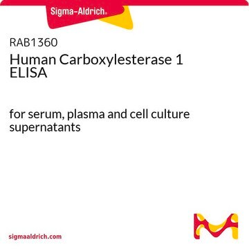 Human Carboxylesterase&nbsp;1 ELISA for serum, plasma and cell culture supernatants