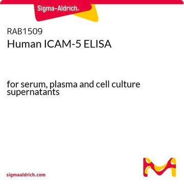 Human ICAM-5 ELISA for serum, plasma and cell culture supernatants