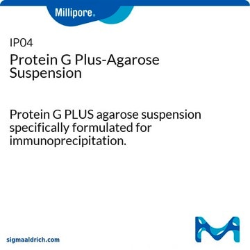 Protein G Plus-Agarose Suspension Protein G PLUS agarose suspension specifically formulated for immunoprecipitation.