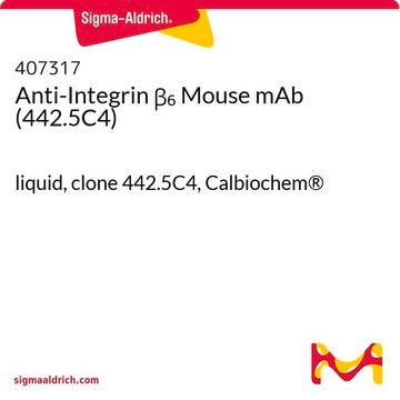 Anti-Integrin &#946;&#8326; Mouse mAb (442.5C4) liquid, clone 442.5C4, Calbiochem&#174;