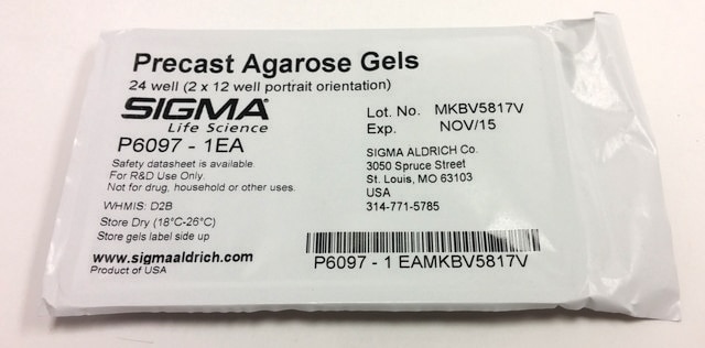 Precast Agarose Gels 24 wells (2 × 12-well portrait orientation)