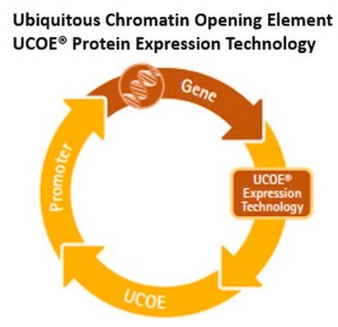 UCOE&#174; Single Expression Puromycin Vector Set