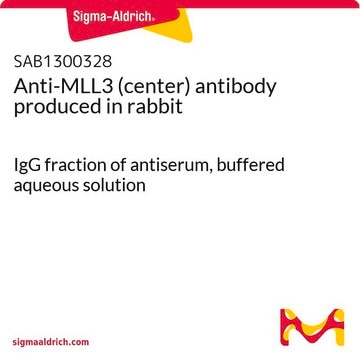 Anti-MLL3 (center) antibody produced in rabbit IgG fraction of antiserum, buffered aqueous solution