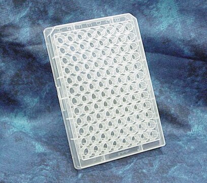 Greiner 96 well plates, polypropylene 392 &#956;L/well, flat bottom clear polypropylene wells, non-sterile