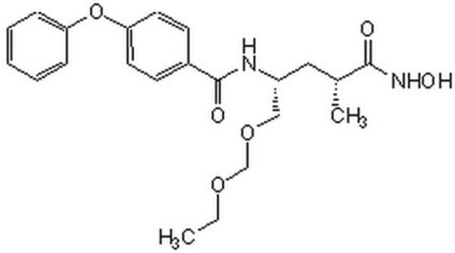 MMP Inhibitor V The MMP Inhibitor V, also referenced under CAS 223472-31-9, controls the biological activity of MMP. This small molecule/inhibitor is primarily used for Protease Inhibitors applications.