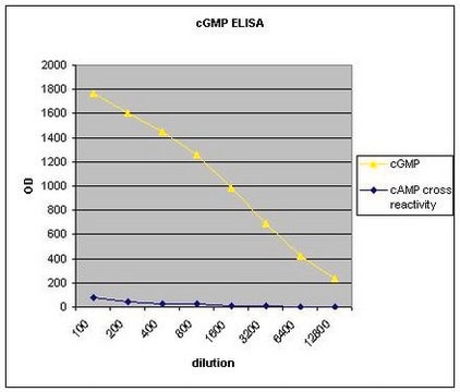 Anti-cGMP (cyclic GMP) Antibody serum, Upstate&#174;