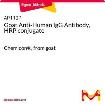 Goat Anti-Human IgG Antibody, HRP conjugate Chemicon&#174;, from goat